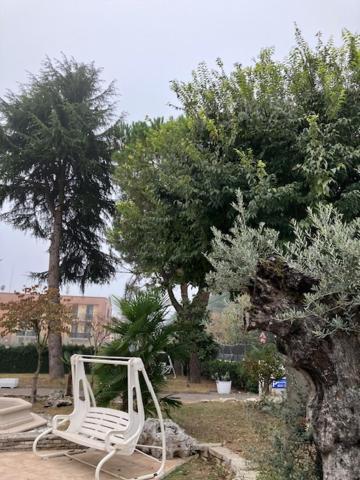Hotel Rey'S Montegrotto Terme Exterior photo